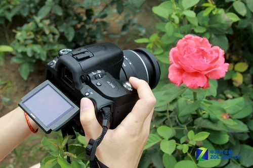 轻松拍摄优秀影像 翻转屏索尼A390评测 