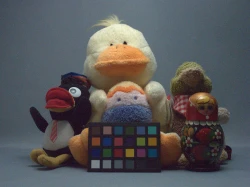 点击放大此图片