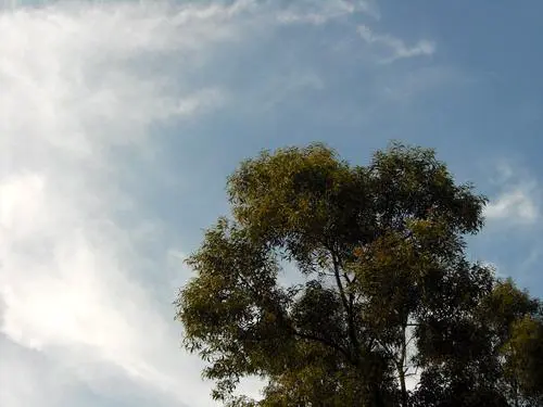 乐趣触摸拍摄体验3寸大屏明基T850评测(10)