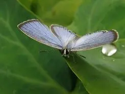 朴实无华5倍光变奥林巴斯FE-370评测(14)