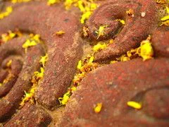 便携DC王 可换镜头奥林巴斯E-P1评测