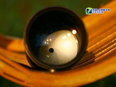 从微距到大炮 宾得5款顶级镜头对比评测 从微距到大炮 宾得5款顶级镜头对比评测