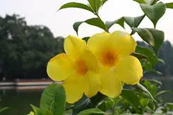 以画质取胜入门单反佳能1000D深度评测(21)