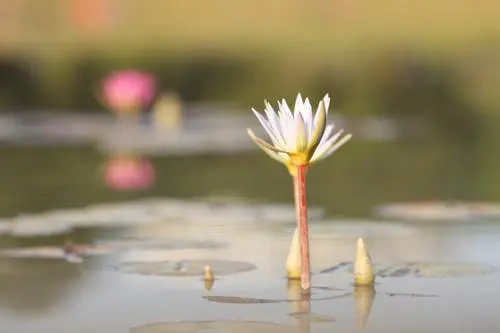 接近完美佳能全画幅5DMarkII评测(12)