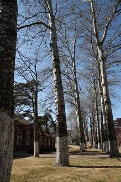 副厂镜头不副适马24-70F/2.8HSM评测(10)