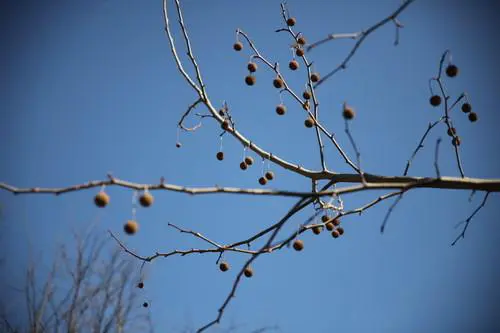 副厂镜头不副适马24-70F/2.8HSM评测(10)