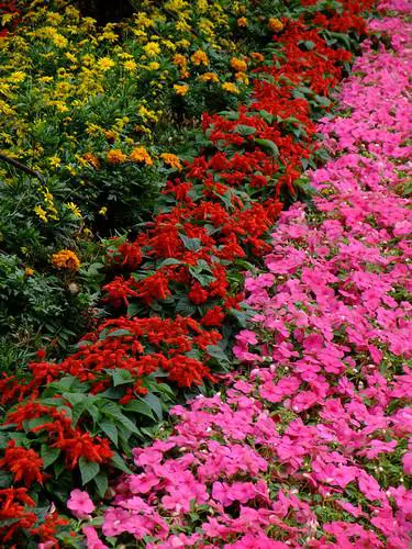 灵活多变全能相机富士F200EXR功能评测(10)