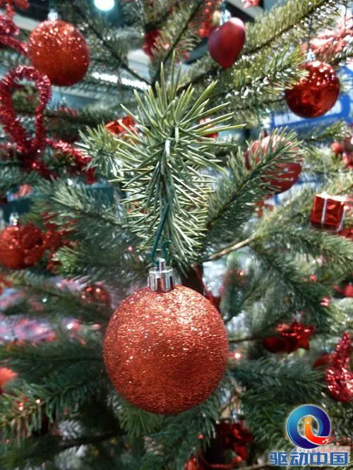 掌控在你手 松下SZ5远程拍试用评测