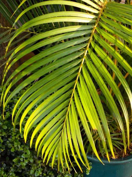 乐趣触摸拍摄体验3寸大屏明基T850评测(10)