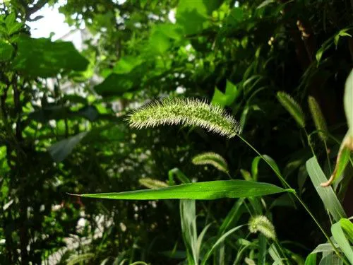 不仅是配置强大 明基卡片机T1260评测