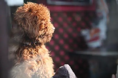 副厂镜头不副适马24-70F/2.8HSM评测(10)