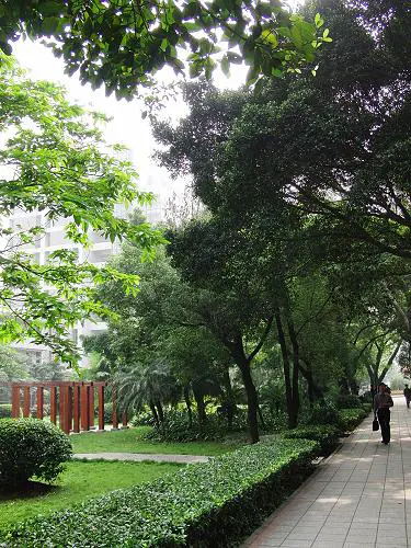 30张每秒高速连拍卡西欧长焦FC100评测(5)