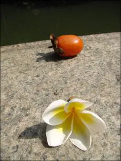 高清录像卡片机时尚索尼T500全面评测(13)