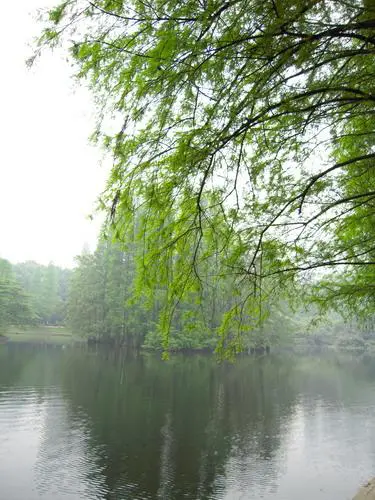 高速响应时尚DC四倍光变尼康S620评测(4)