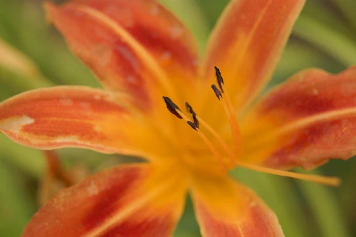 轻松拍摄优秀影像 翻转屏索尼A390评测 