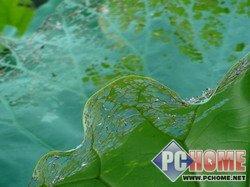 笑脸快门引领高清索尼HDR-CX12E评测(10)