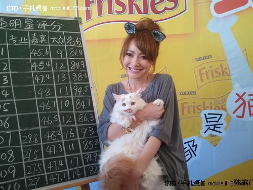 500万像素强悍拍照+720P高清摄录