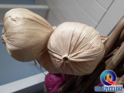 掌控在你手 松下SZ5远程拍试用评测