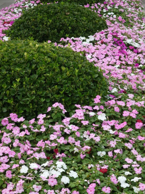 由内而外的强悍 高画质松下FX180详细评测 