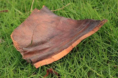 骨子里的强悍佳能升级版单反50D评测(16)