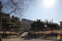 副厂镜头不副适马24-70F/2.8HSM评测(9)