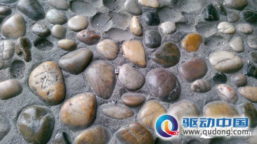 拍照样张：细节