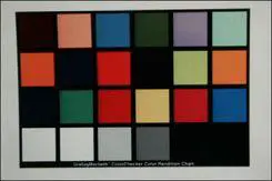 谁主沉浮佳能450D、50D与尼康D90对比(11)