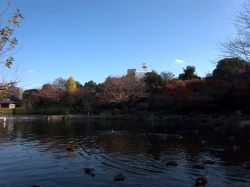 点击放大此图片