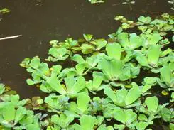 高速响应时尚DC四倍光变尼康S620评测(6)