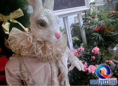 要做大美人 卡西欧TR200倾情评测