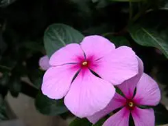 灵活多变全能相机富士F200EXR功能评测(12)