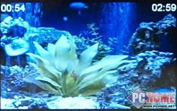 支持摄像头功能的PMP驰为S800+评测(5)