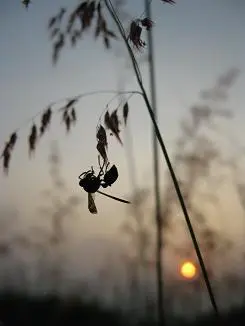 时尚可爱不乏精致小巧佳能E1详尽评测(13)