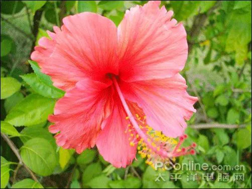 宾得e60评测样张 宾得e60评测样张