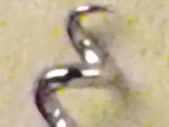 高清录像卡片机时尚索尼T500全面评测(6)