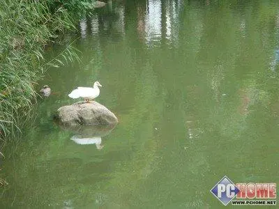 出色的成像能力索尼富士全面PK评测(8)