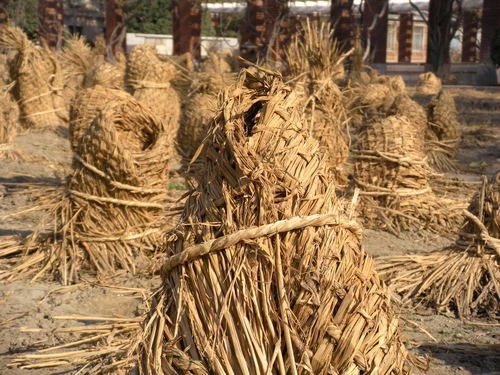 s60的第五期评测 