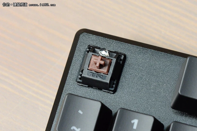 轴体及手感：国产TTC茶轴 打字倍儿爽