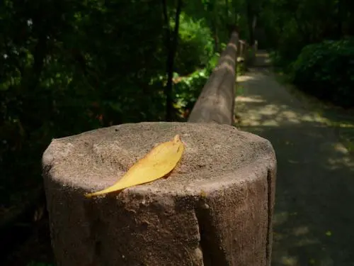 实用度继续上升25mm广角松下FX38评测(9)