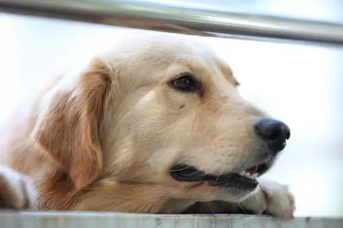 接近完美佳能全画幅5DMarkII评测(14)