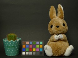 点击放大此图片