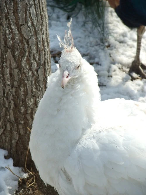 口袋中的高画质DC 富士F200EXR评测首发 