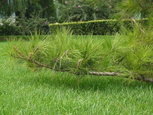 由内而外的强悍 高画质松下FX180详细评测 