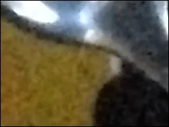 宾得e60 ISO 宾得e60 ISO