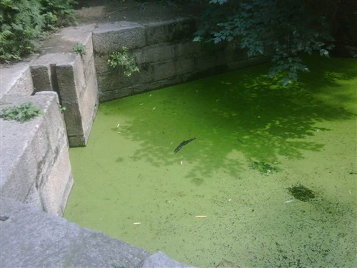 摩托罗拉摩托罗拉 XT300 mini 样张图