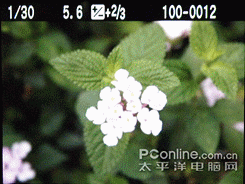 谁主沉浮佳能450D、50D与尼康D90对比(6)