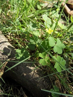 三星NV9_实拍样张分析