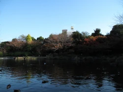 点击放大此图片