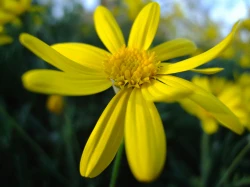 点击放大此图片