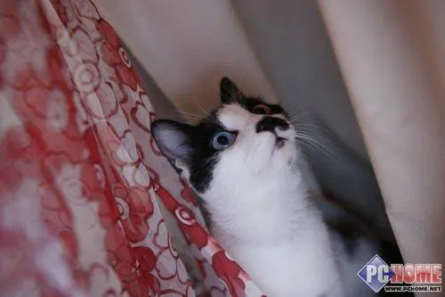 走向高端索尼首款全画幅单反α900评测(25)